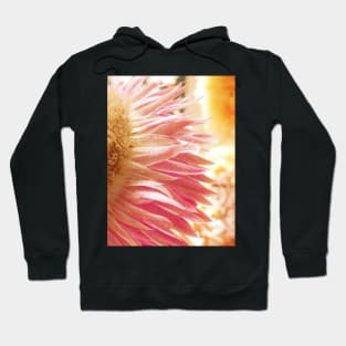 Waves of Petals Hoodie